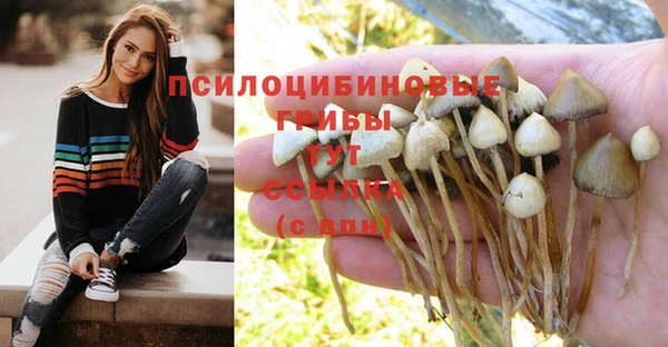 мяу мяу кристалл Арсеньев